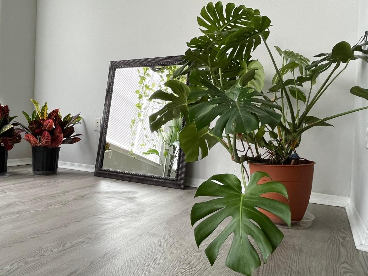 Next To Universal! 2Bedroom-2Bath-Many Indoor Plants Орландо Екстериор снимка